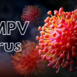 hMPV Virus Explained: Symptoms, Prevention, and Impact